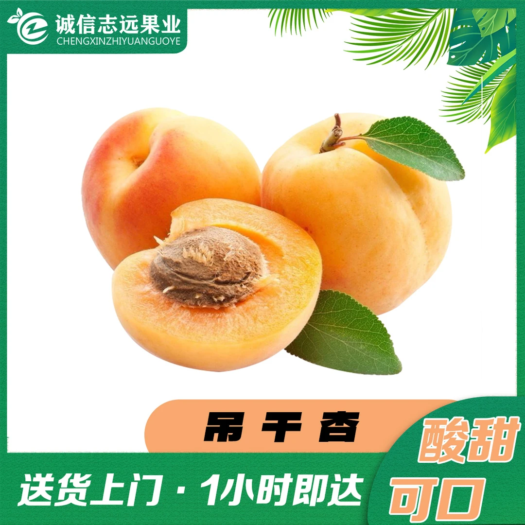 A级-吊干杏480g-500g