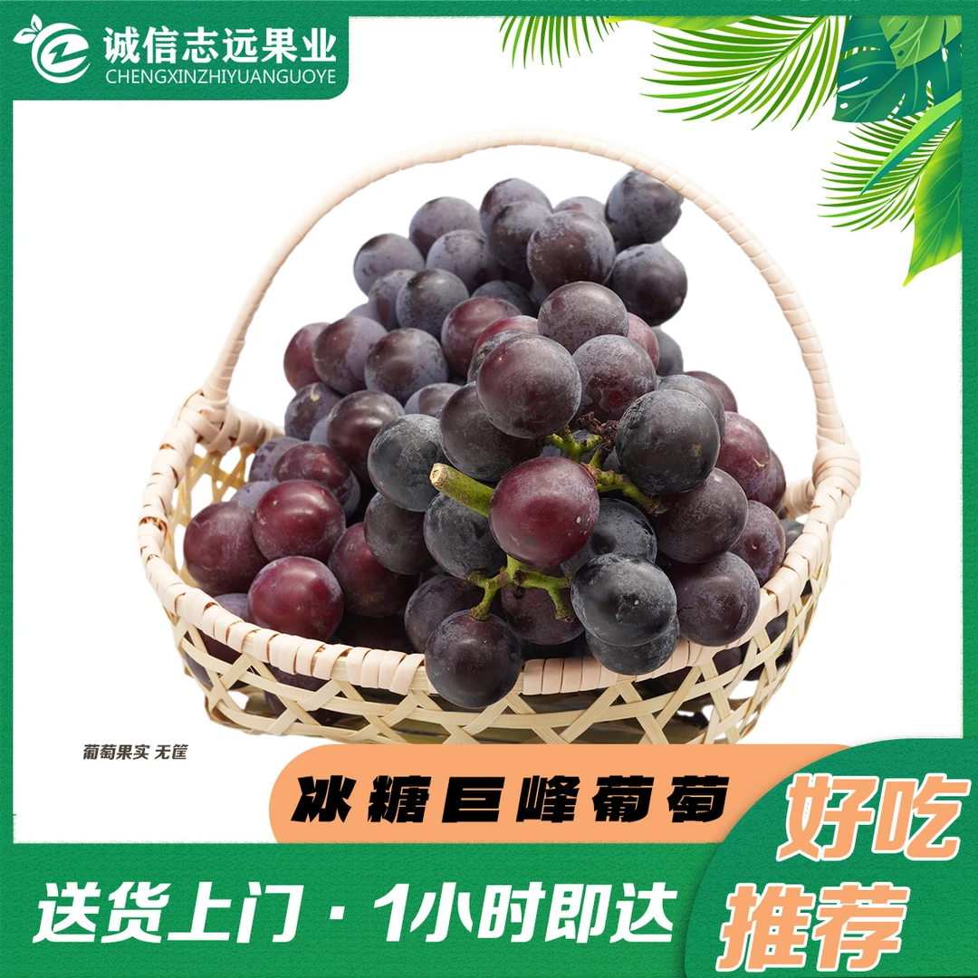 冰糖巨峰葡萄3斤【西安区域专享】