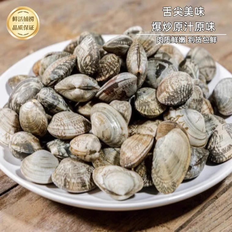新鲜花甲无沙鲜活花蛤蜊500g