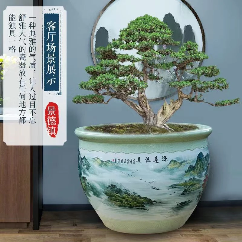 景德镇陶瓷缸庭院摆放大缸种盆景树种荷花睡莲养锦鲤乌龟门庭摆件