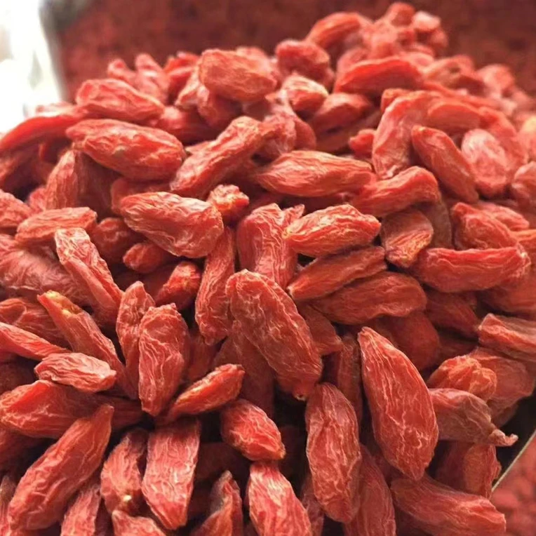 红枸杞【宁杞1号】老品种