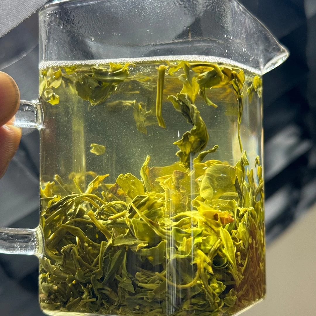 【口粮办公茶】耐泡浓香绿茶鲜爽回甘香味浓云雾贡茶250g袋装绿茶