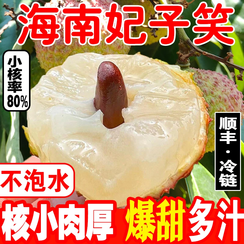 2024正宗海南妃子笑荔枝新鲜水果包邮老树大果现摘现发皮薄肉厚