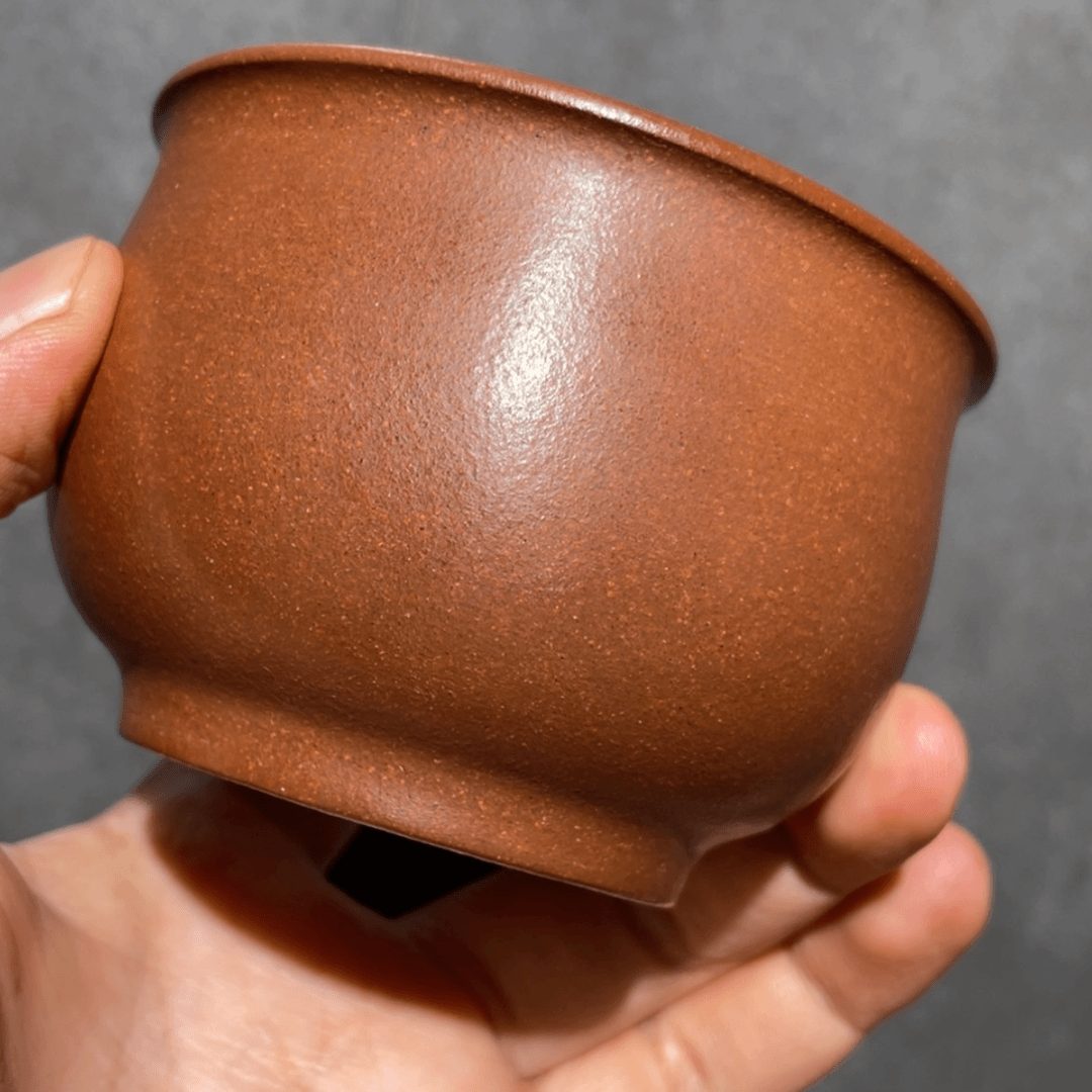 【闪购商品】紫砂茶壶