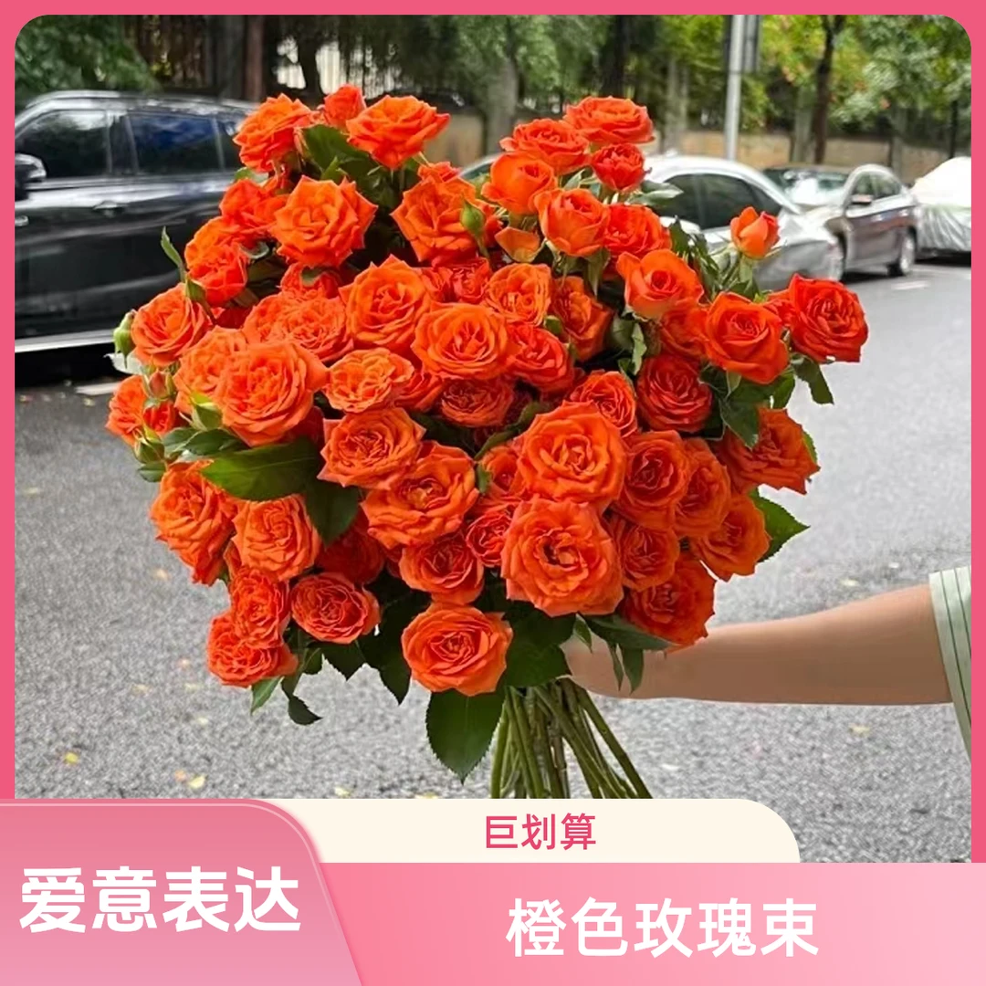 橙色芭比玫瑰橙色系 网红鲜花 全场任意两单顺丰/京东