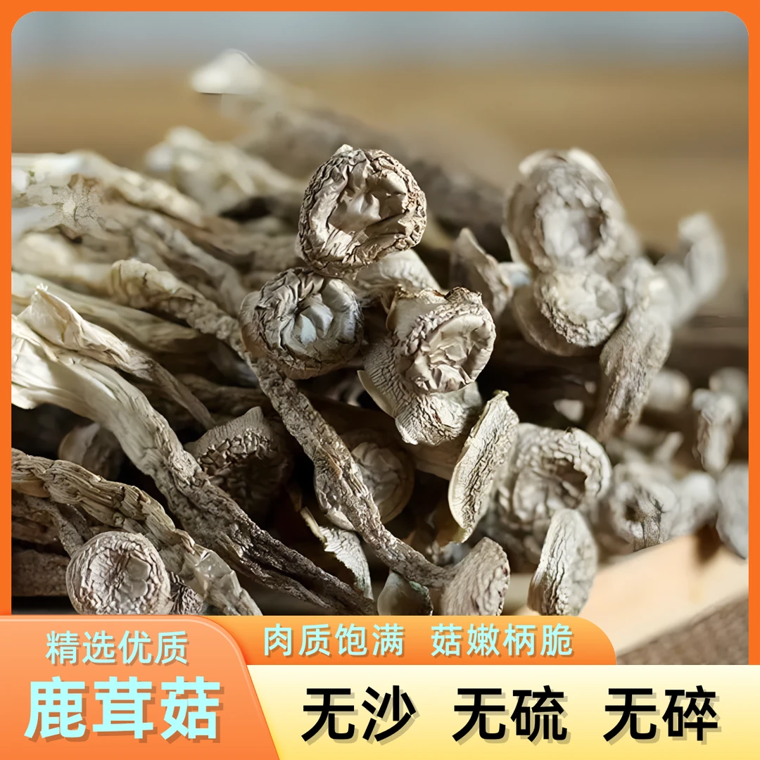 鹿茸菇干货特级鹿茸菌无硫新鲜美味煲汤脆脆菇蘑姑干香菇精选优质