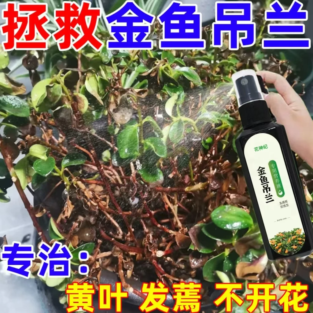 【越开越多】金鱼吊兰专用营养液体四季花肥料植物防烂叶枯萎促花剂