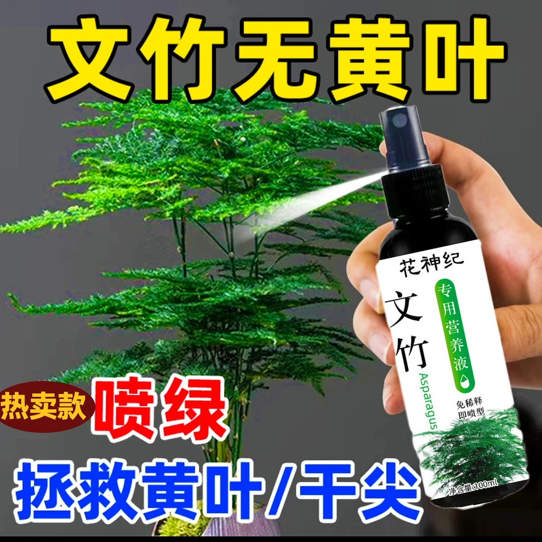 【常绿】文竹营养液专用肥料治叶子发黄干尖枯萎烂根催发芽促营养液