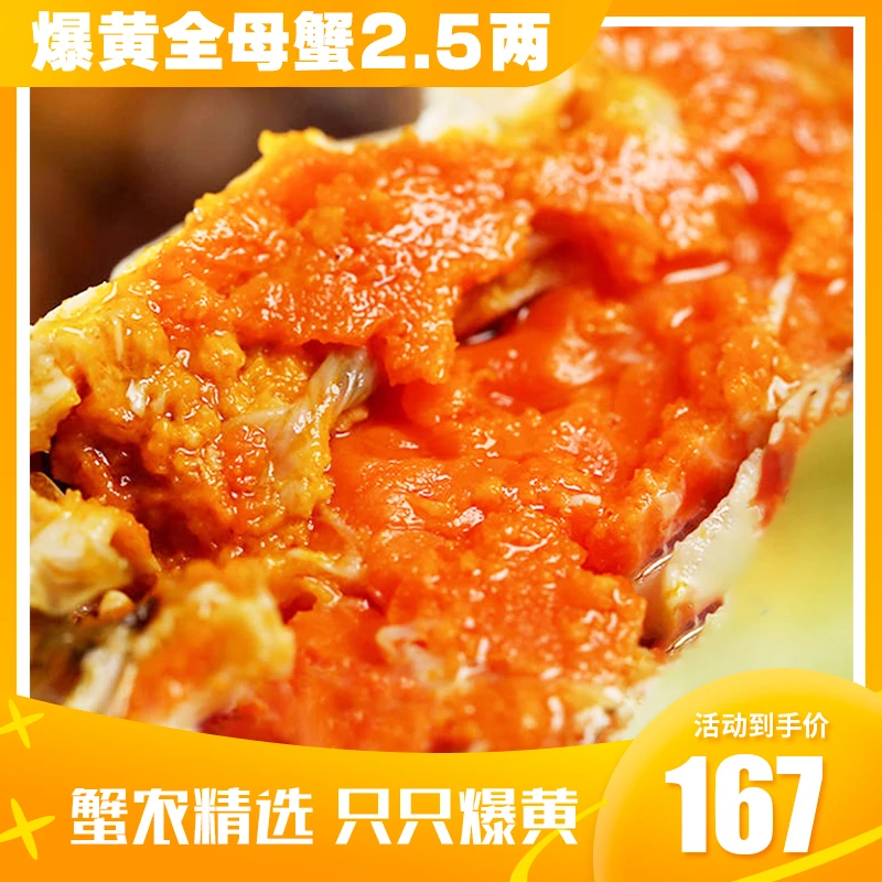 【活蟹】爆黄全母大闸蟹2.5两 顺丰冷链空运 苏州发货 精挑个大饱满
