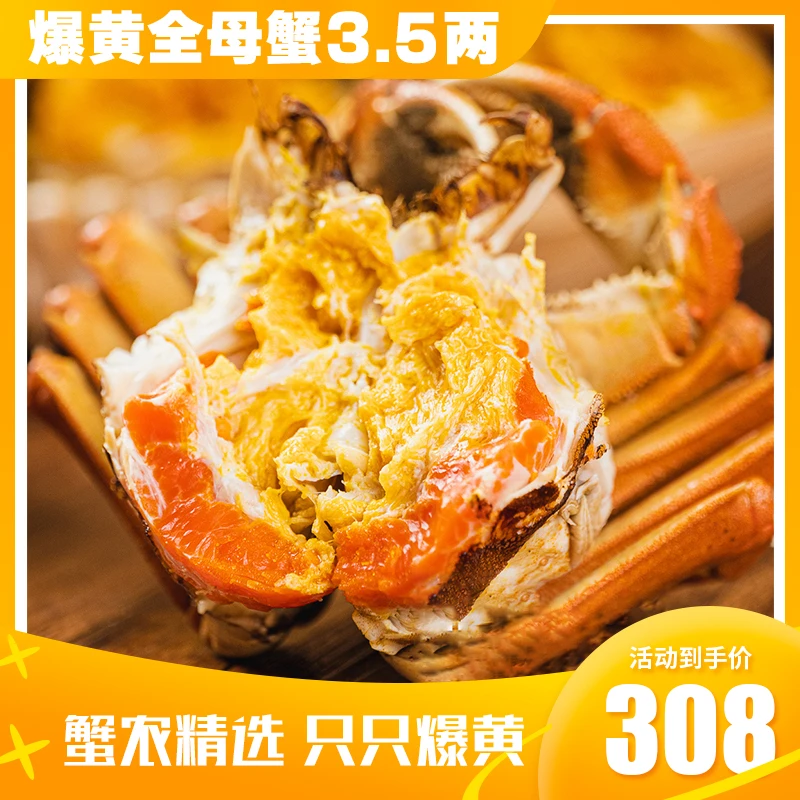 【活蟹】爆黄全母大闸蟹3.5两 顺丰冷链空运 苏州发货 精挑个大饱满