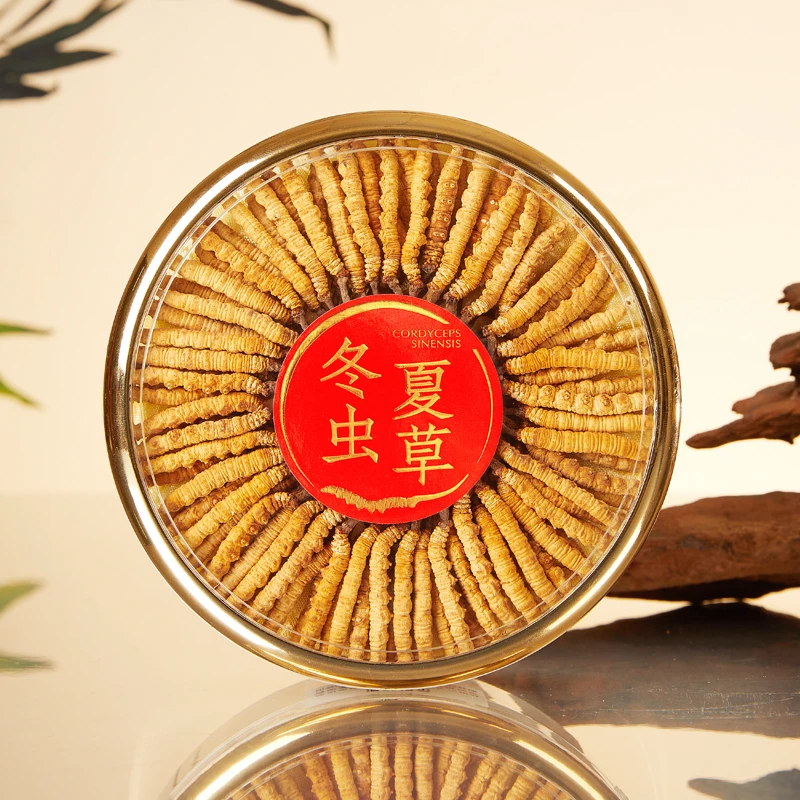 【虫草源头批发】高海拔虫草王-冬虫夏草100根 高端礼盒