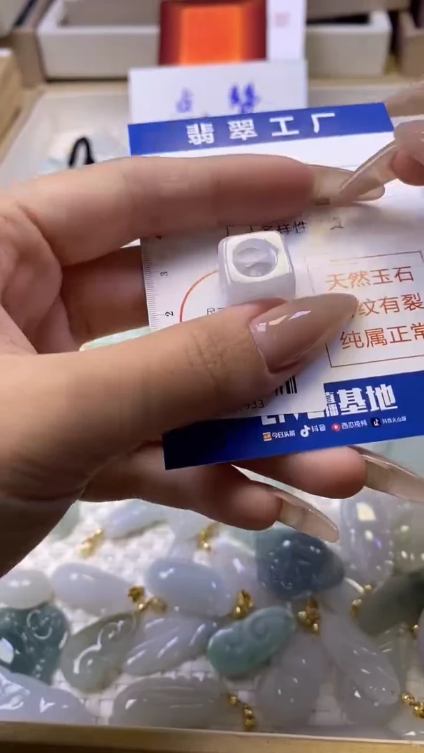 【闪购商品】翡翠颈饰未镶嵌/5001933