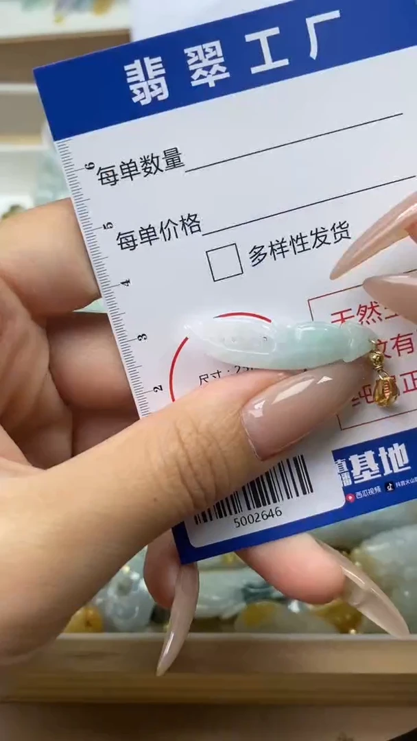【闪购商品】翡翠颈饰未镶嵌/5002646