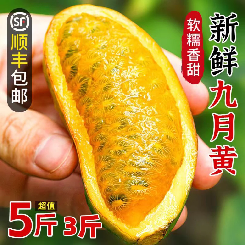1【顺丰包邮】九月黄九月瓜牛卵坨拿藤果麻藤包甜瓜八月瓜新鲜水果