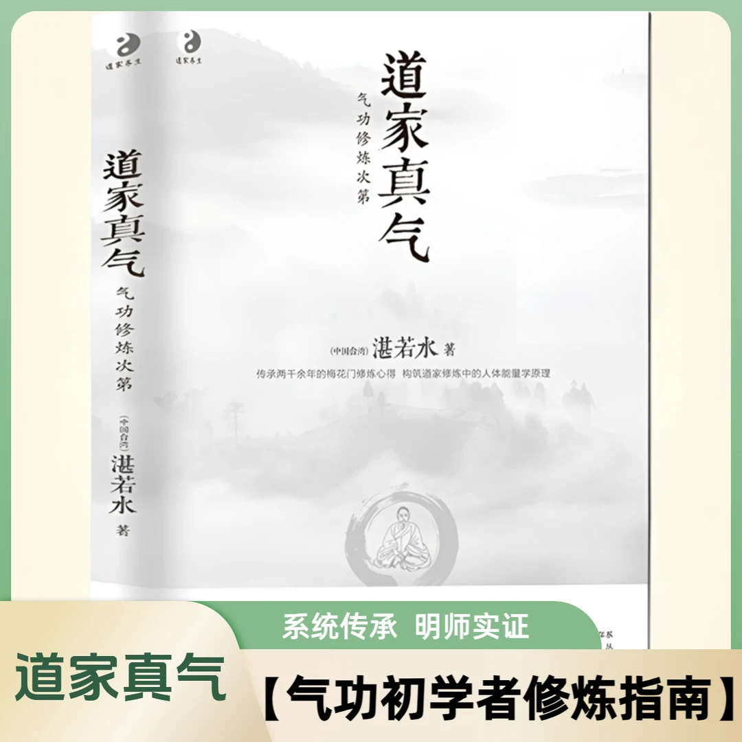 道家真气气功修炼次第湛若水著气功初学者修炼练功入门国学指南
