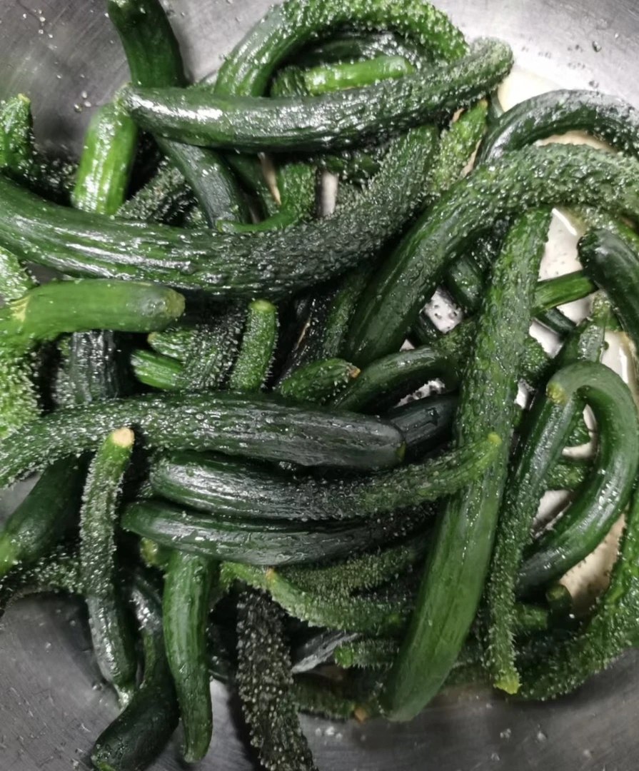 山东寿光农家自种新鲜现摘现发小黄瓜扭脆嫩腌瓜腌制