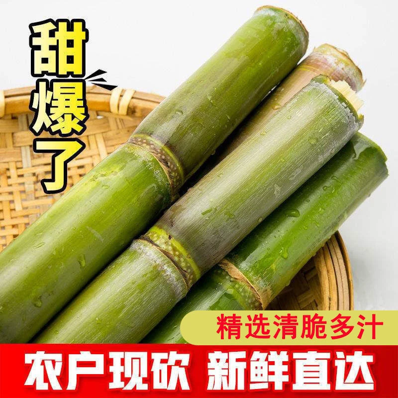 青皮甘蔗湖南农家自种新鲜绿皮甘蔗超甜多汁现砍现发10根一捆