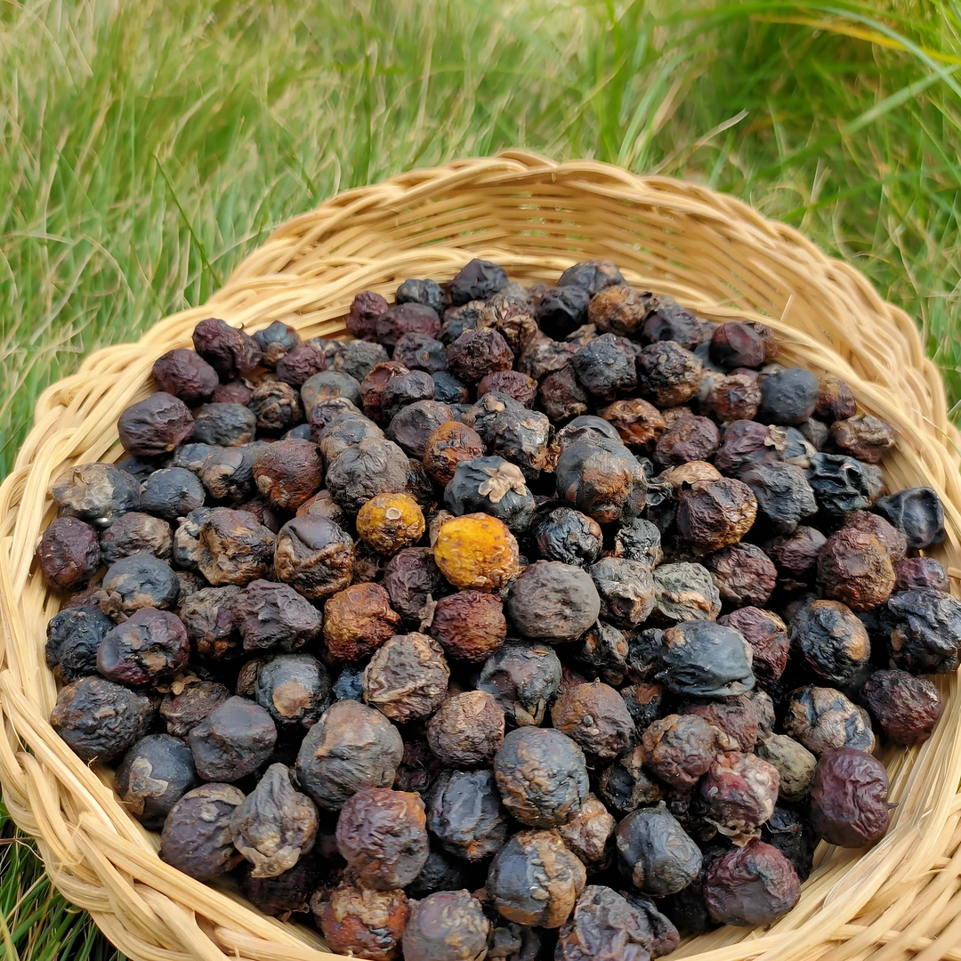 野生土枇杷干果鲜果自家采摘泡水喝