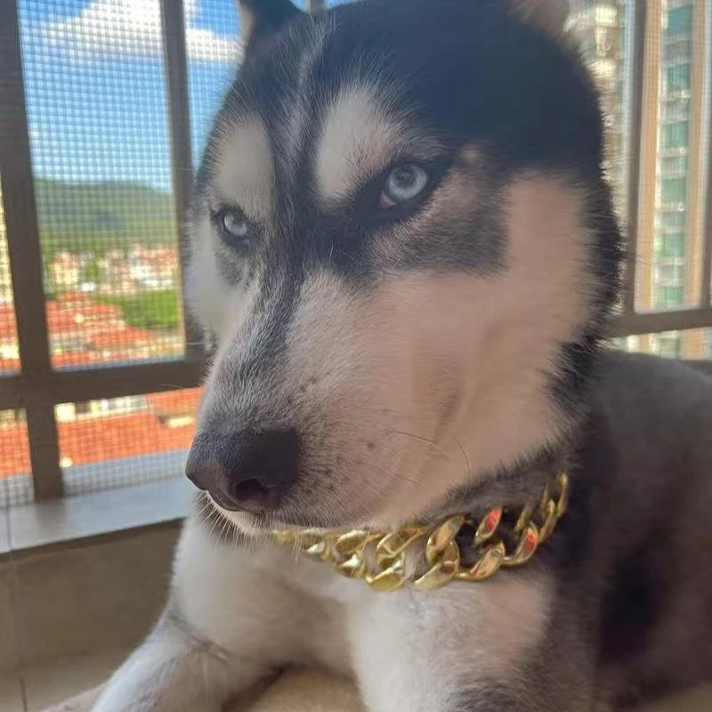 宠物项链狗狗大金色土豪链子猫咪项链项圈恶霸犬泰迪法斗饰品网红