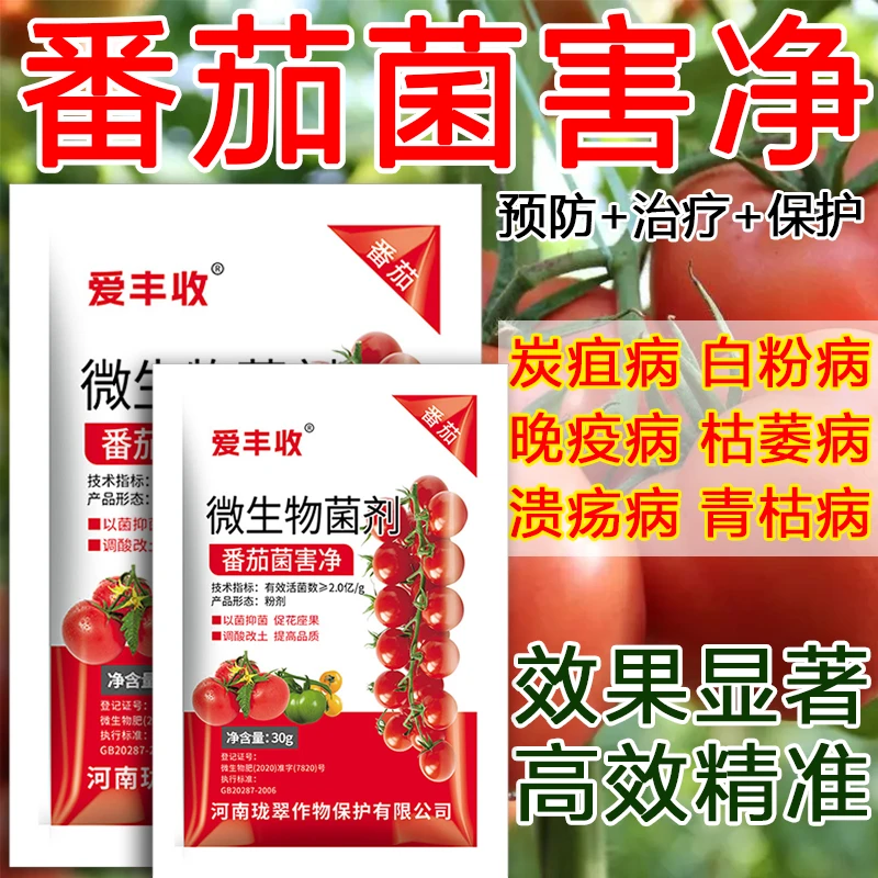 番茄病全治西红柿专用药蔓枯病炭疽病疫病灰霉病病毒病叶斑病专用