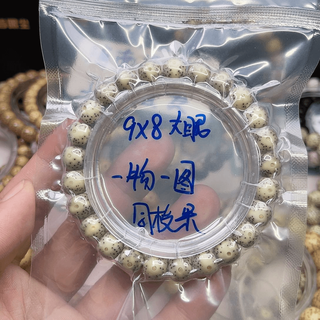 星月菩提手串9/8大眼同枝果