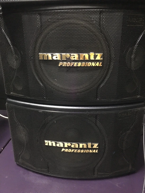 马兰士十寸卡包箱一对 不包邮、保修一个月