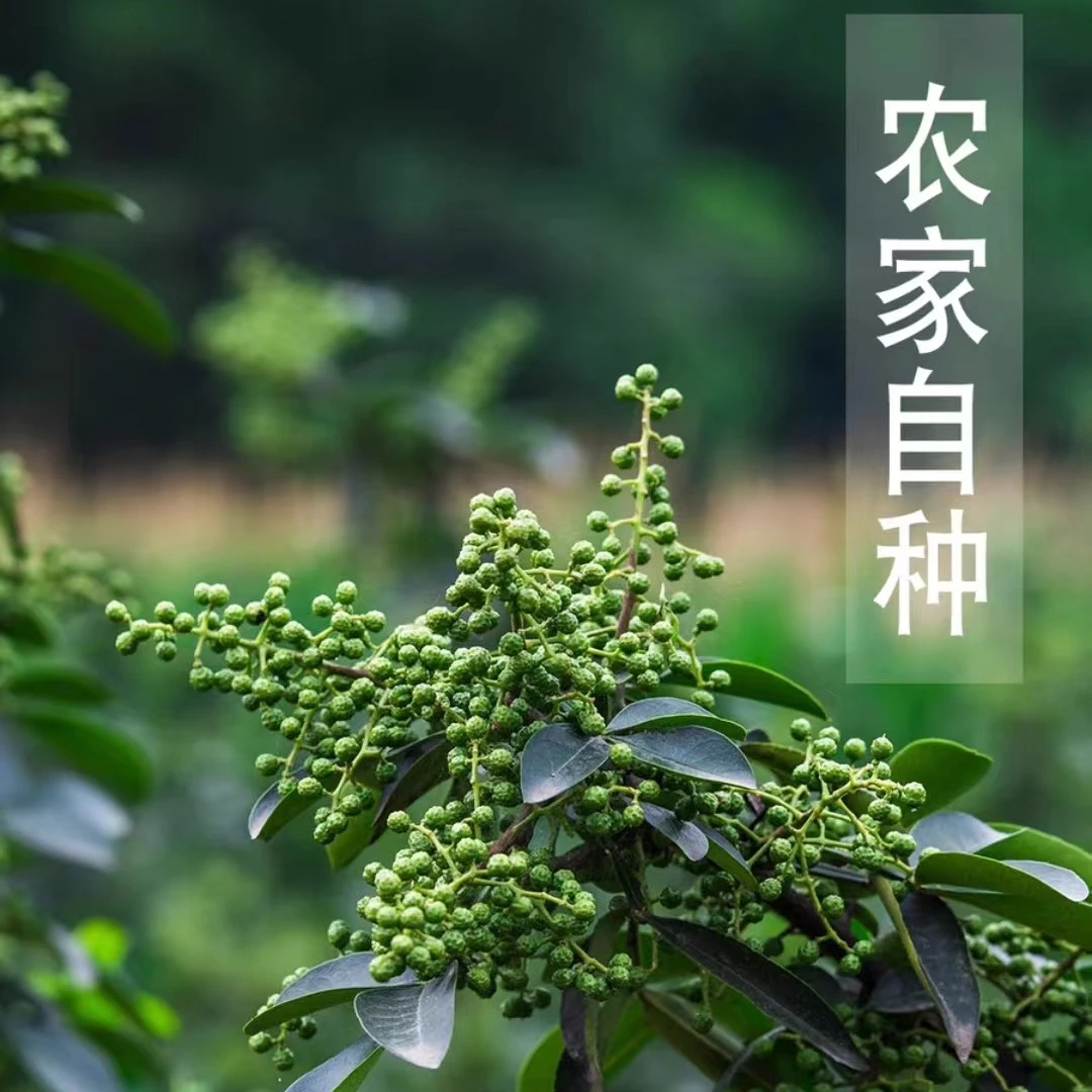 重庆江津九叶青鲜花椒真空包装1袋/2袋/3袋