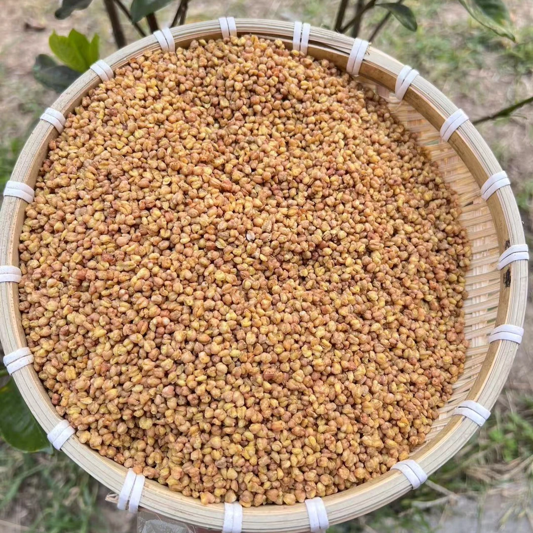 【百里找山货】苦荞茶现收食用农产品
