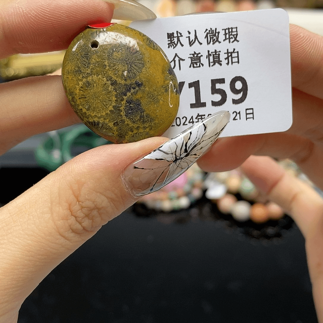 硅化珊瑚（珊瑚玉）颈饰未镶嵌159