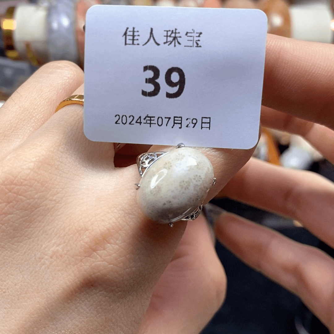 硅化珊瑚（珊瑚玉）颈饰未镶嵌39
