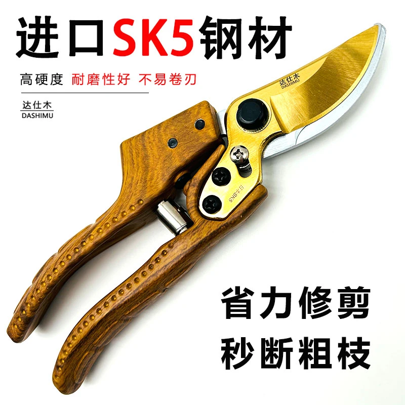 加长果枝剪园艺耐用剪树枝专用剪子花卉耐用家用合金剪枝修花剪