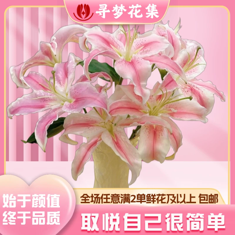 【马龙】浪漫唯美香水百合 全场1单普通包邮 2单发顺丰京东冷链空运