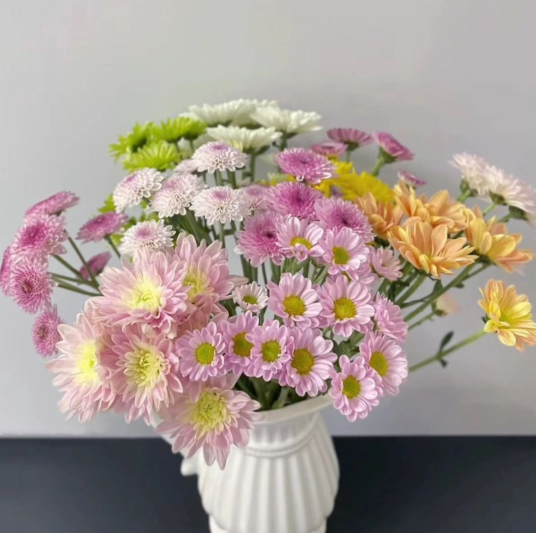 【高品质雏菊】云南高品质鲜花全场任意2单顺丰包邮拍一单需补运费