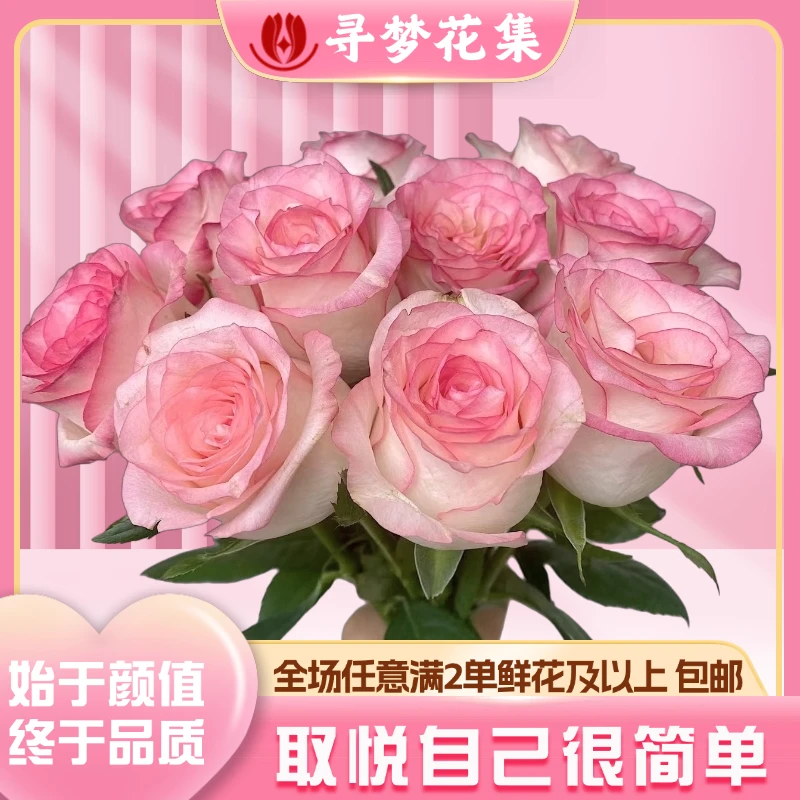 【艾莎】精致优雅单头玫瑰 全场1单普通包邮 2单发顺丰京东冷链空运