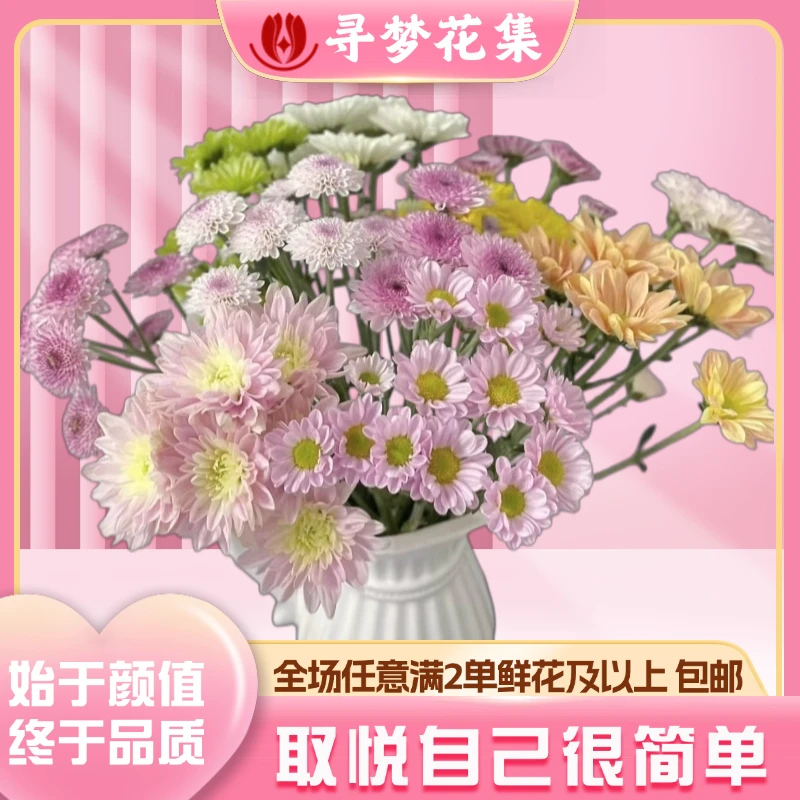 【超长待机王】缤纷小雏菊 全场1单包邮 2单发顺丰京东冷链空运