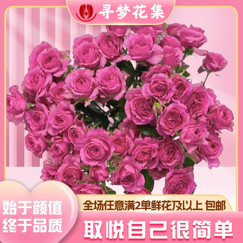 【苏菲宝贝】爆花绝美多头玫瑰 全场1单包邮 2单发顺丰京东冷链空运