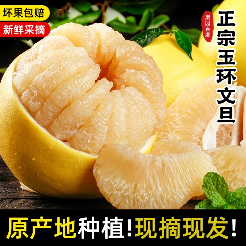 正宗玉环文旦柚子当季新鲜水果孕妇浙江台州特产现摘现发果农直销