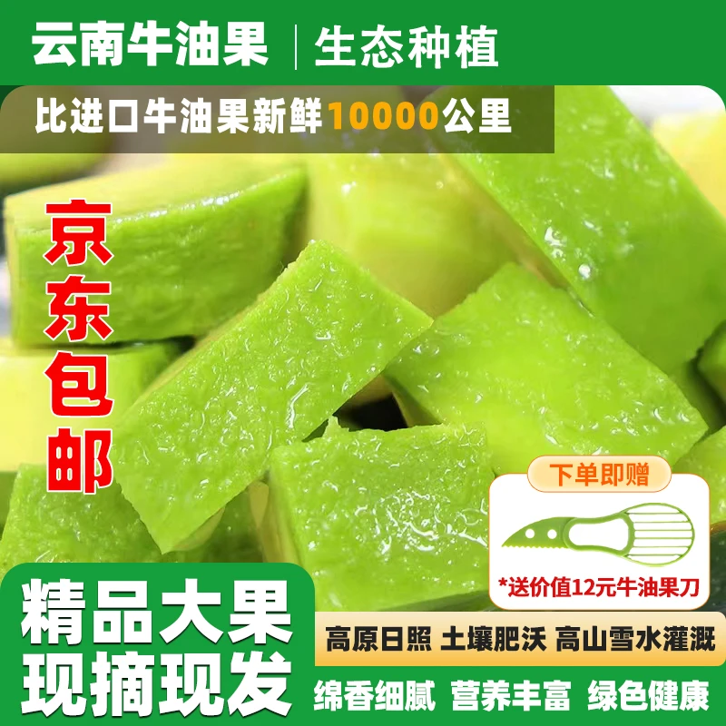【最后库存350-400g/个京东包邮】云南品克顿牛油果宝宝辅食现摘发