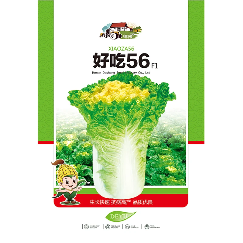 【4.9元抢好吃56白菜种子】 杂交一代品种 黄心大白菜 蔬菜种子优质