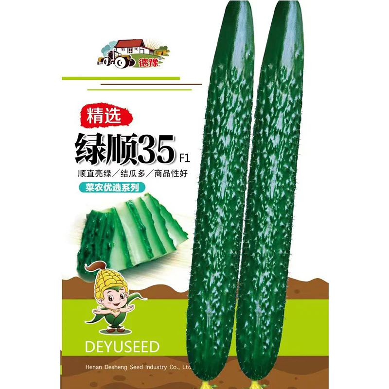 德育绿顺种业35黄瓜种子一代杂交新品种叶色深绿抗病性好蔬菜种子