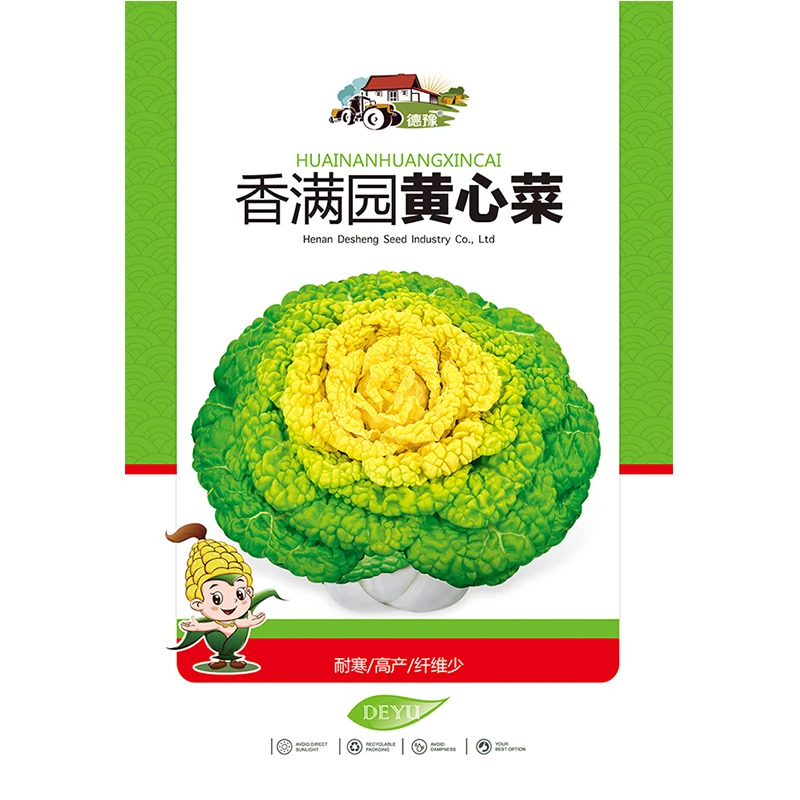 香满园优质黄心菜种子 秋季种植 简单 卷窝菜 蔬菜种子 高产 品种
