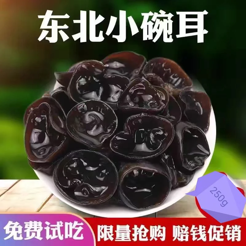 小碗秋耳东北黑木耳林区生长原生态伊春黑木耳东北山货当年新木耳