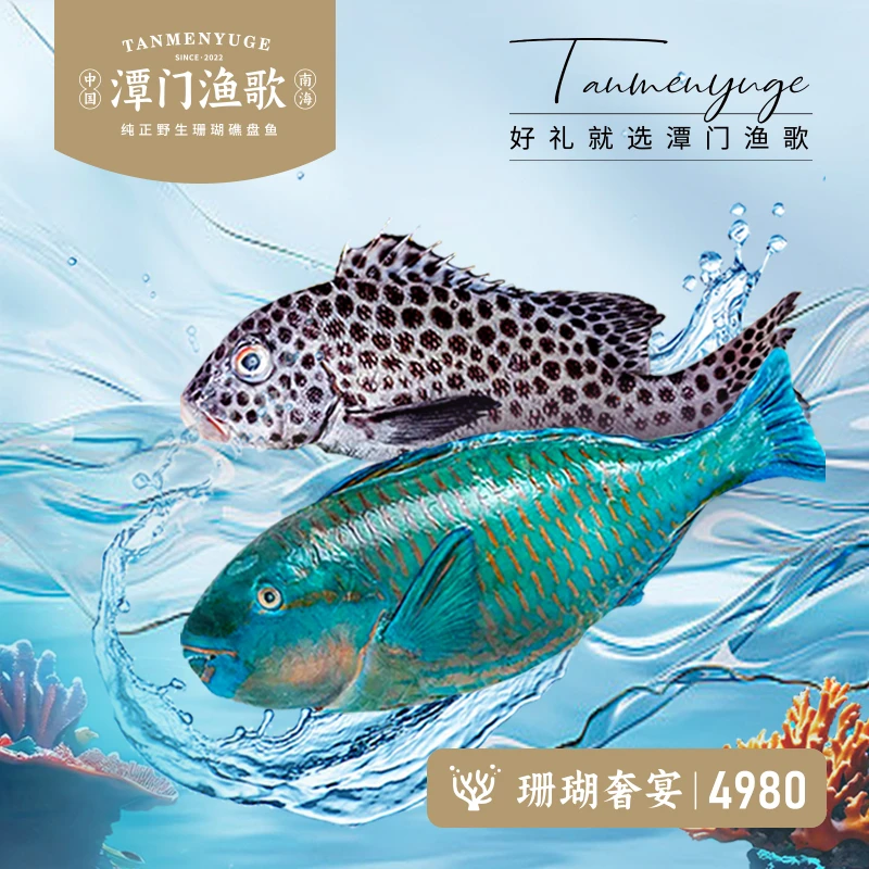 【现货】潭门渔歌南海珊瑚礁盘鱼海鲜礼盒C款珊瑚奢宴净重9斤