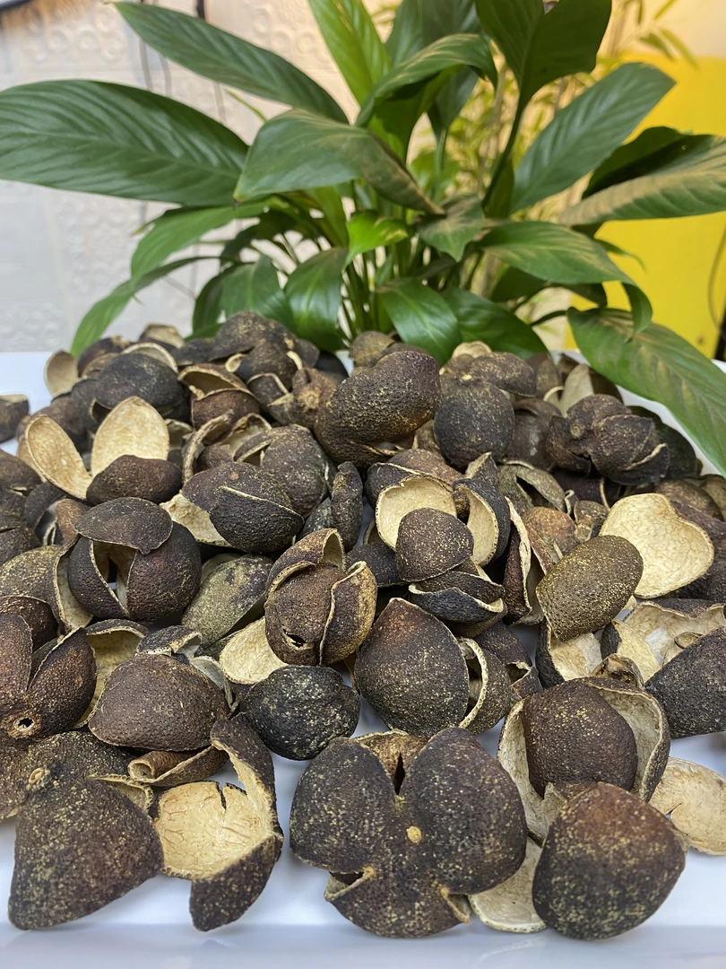 25年老树Y壳头彩青壳-老陈皮