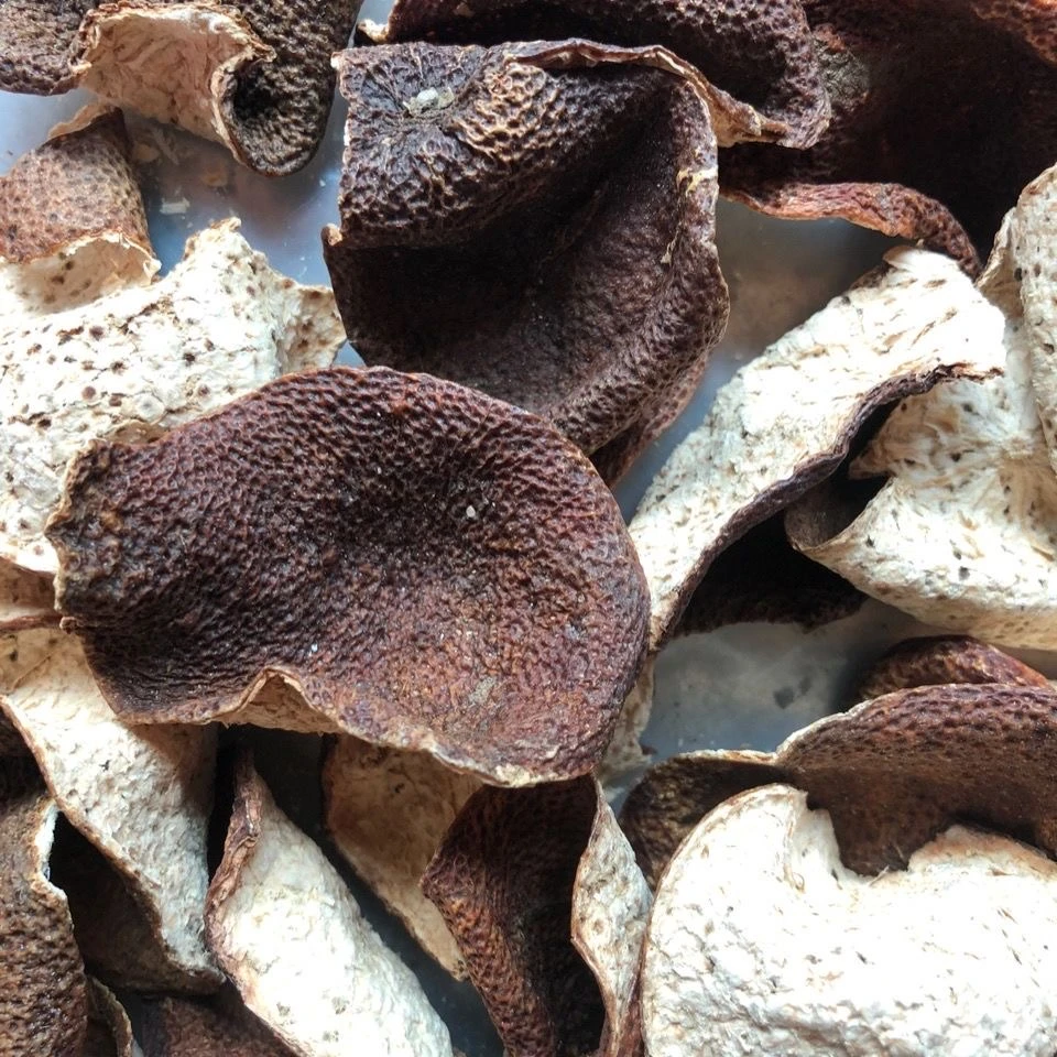 16年青皮福利-广东陈皮