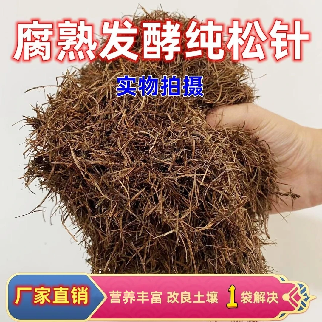 纯松针兰花君子兰杜鹃专用腐熟松针酸性透气营养种植土盆栽花卉