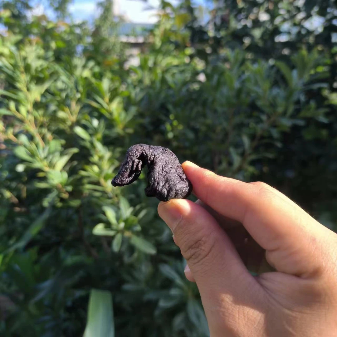 云南土特产【现收特产-熟地黄500g】
