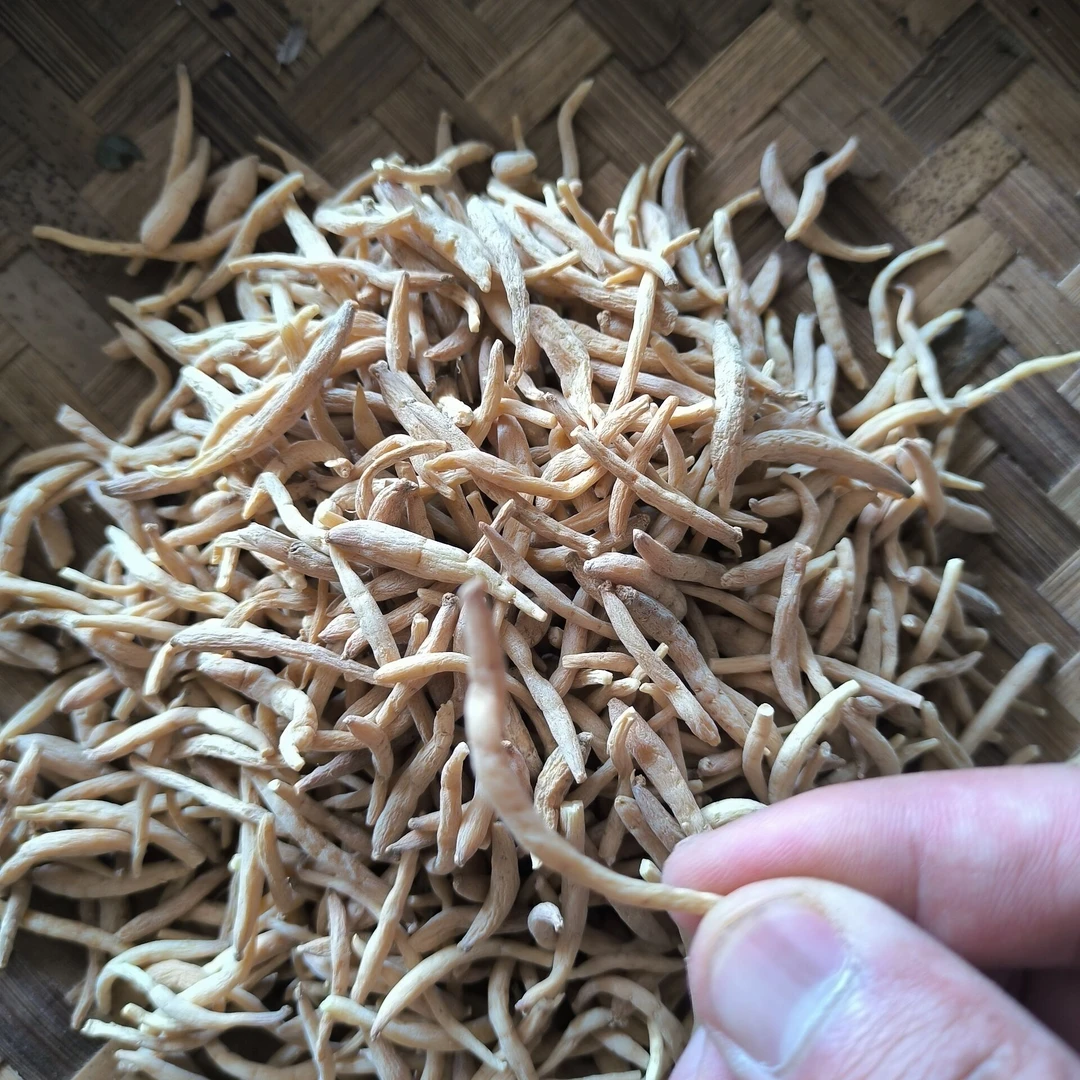 云南土特产-现收农家土特产-【麦-咚】（250g/500g）