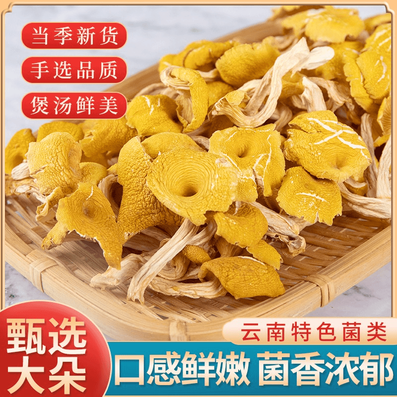 云南土特产-鸡油菌净含量（500g）