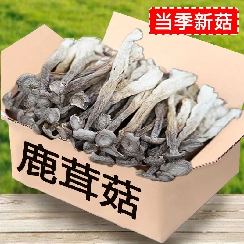 鹿茸菇干货鹿茸菌新货新鲜脆脆菇农家食用菌煲汤食材蘑菇营养鲜嫩